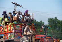 Main-d’œuvre en crise : quand la traque aux migrants menace l’agriculture américaine États-Unis: pourquoi les mesures anti-migrants risquent de déclencher une flambée des prix de l'alimentaire