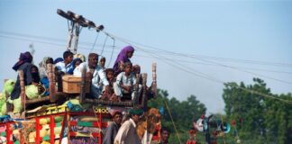 Main-d’œuvre en crise : quand la traque aux migrants menace l’agriculture américaine États-Unis: pourquoi les mesures anti-migrants risquent de déclencher une flambée des prix de l'alimentaire